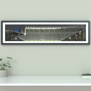 Newcastle United St James' Park stadium Panoramic Print