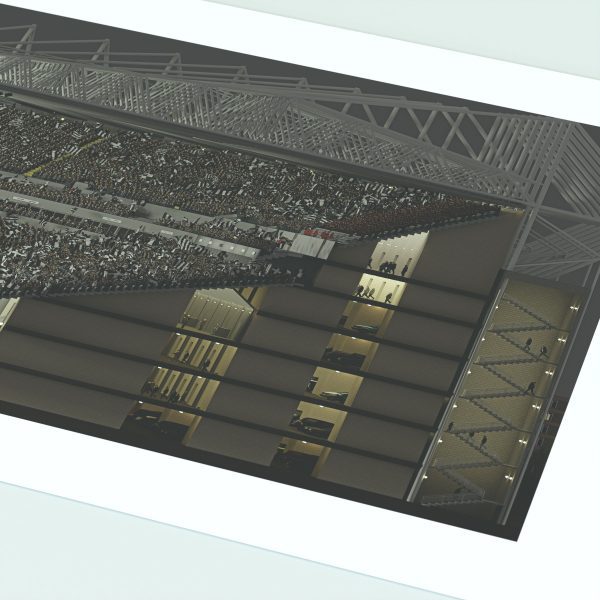 Newcastle United St James' Park stadium Panoramic Print