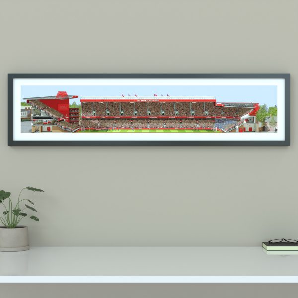 A panoramic cross-sectional illustration of the City Ground during a daytime Premier League match, filled with Nottingham Forest fans cheering.